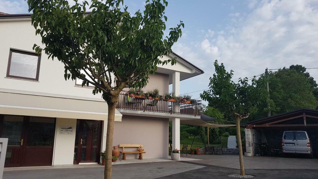 Guesthouse Pri Mihelovih Sežana Extérieur photo