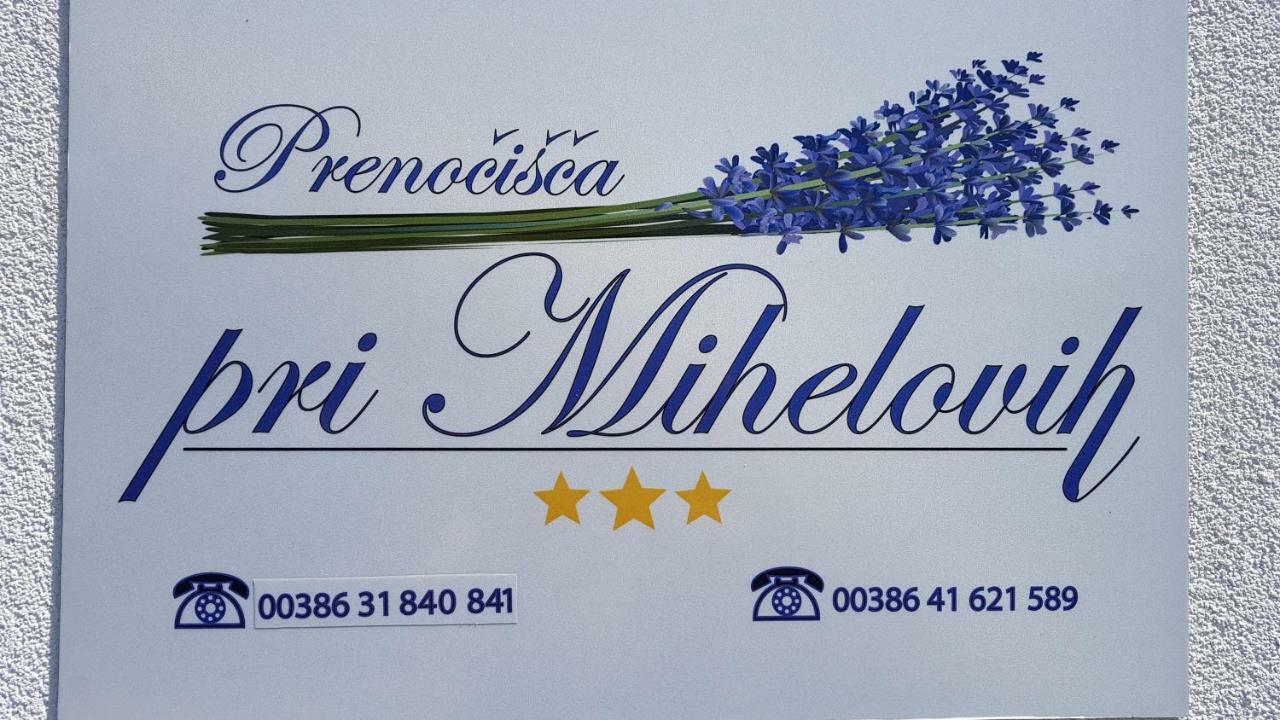 Guesthouse Pri Mihelovih Sežana Extérieur photo